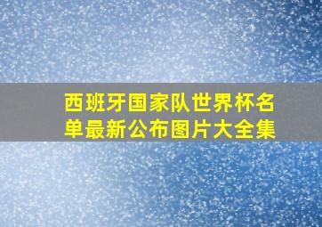 西班牙国家队世界杯名单最新公布图片大全集