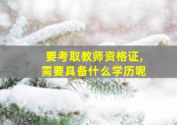 要考取教师资格证,需要具备什么学历呢