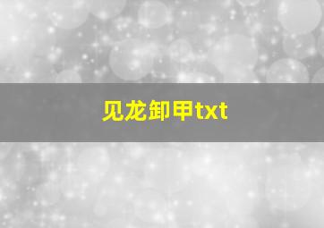 见龙卸甲txt