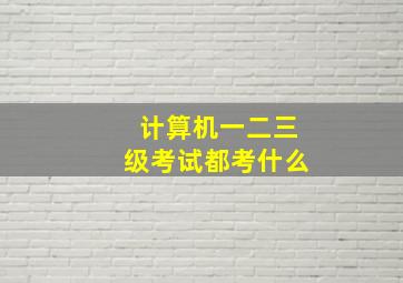 计算机一二三级考试都考什么