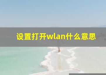 设置打开wlan什么意思