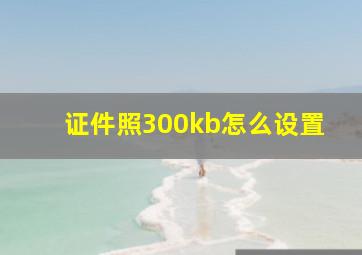 证件照300kb怎么设置