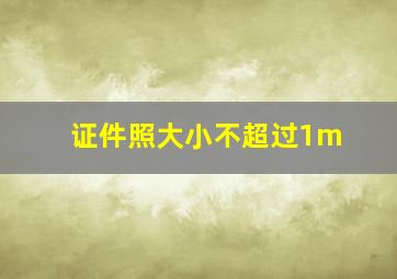 证件照大小不超过1m