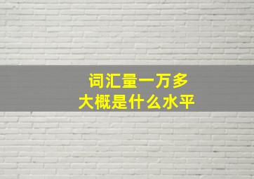 词汇量一万多大概是什么水平