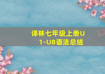 译林七年级上册U1-U8语法总结