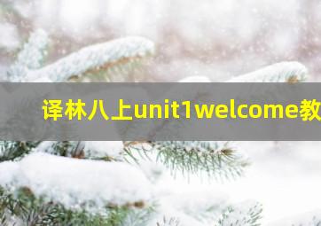 译林八上unit1welcome教案