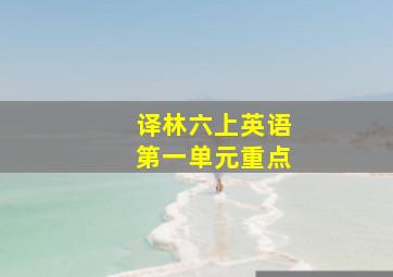 译林六上英语第一单元重点