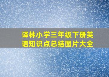 译林小学三年级下册英语知识点总结图片大全