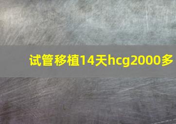 试管移植14天hcg2000多