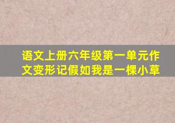 语文上册六年级第一单元作文变形记假如我是一棵小草