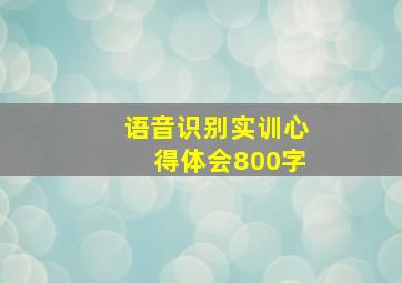 语音识别实训心得体会800字