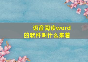 语音阅读word的软件叫什么来着