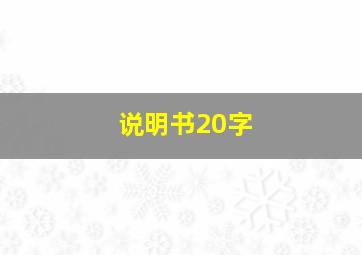 说明书20字