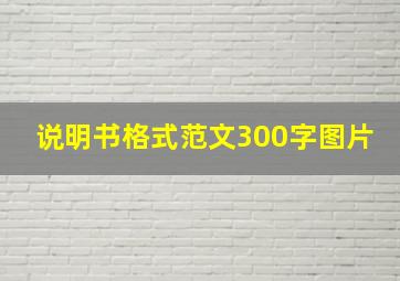 说明书格式范文300字图片