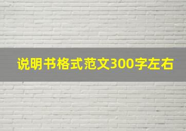 说明书格式范文300字左右