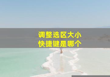 调整选区大小快捷键是哪个