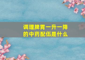 调理脾胃一升一降的中药配伍是什么