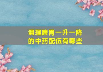 调理脾胃一升一降的中药配伍有哪些