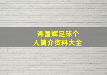 谭国辉足球个人简介资料大全