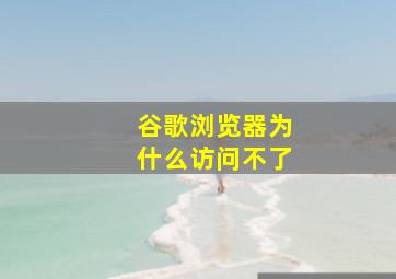 谷歌浏览器为什么访问不了