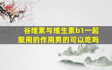 谷维素与维生素b1一起服用的作用男的可以吃吗