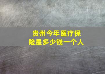 贵州今年医疗保险是多少钱一个人