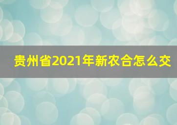 贵州省2021年新农合怎么交