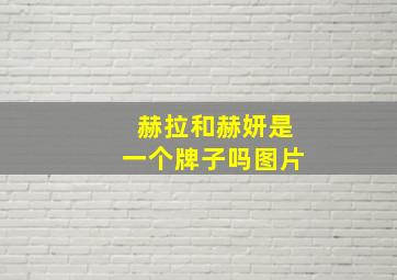 赫拉和赫妍是一个牌子吗图片