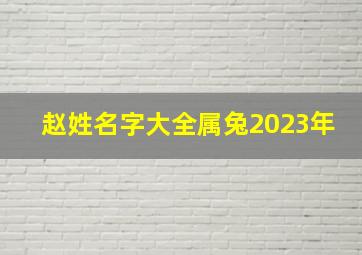 赵姓名字大全属兔2023年