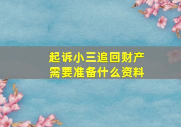 起诉小三追回财产需要准备什么资料