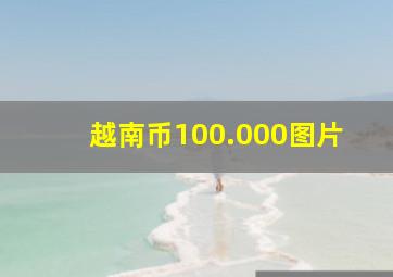 越南币100.000图片