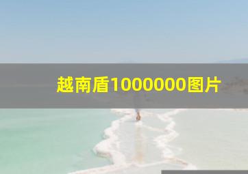 越南盾1000000图片