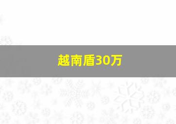 越南盾30万