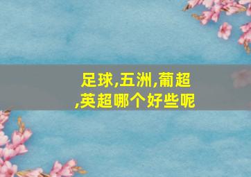 足球,五洲,葡超,英超哪个好些呢