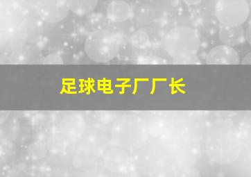 足球电子厂厂长