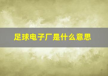 足球电子厂是什么意思