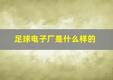 足球电子厂是什么样的