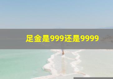 足金是999还是9999