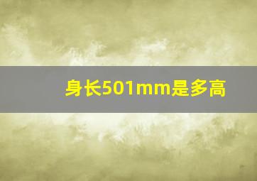 身长501mm是多高