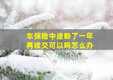 车保险中途断了一年再续交可以吗怎么办