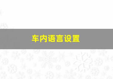 车内语言设置