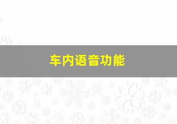 车内语音功能