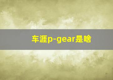 车涯p-gear是啥