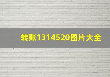 转账1314520图片大全