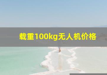 载重100kg无人机价格