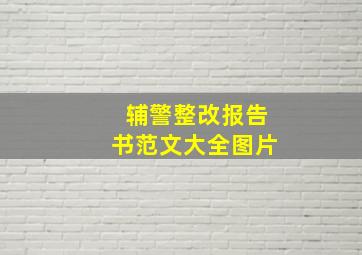 辅警整改报告书范文大全图片