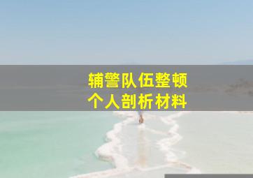 辅警队伍整顿个人剖析材料