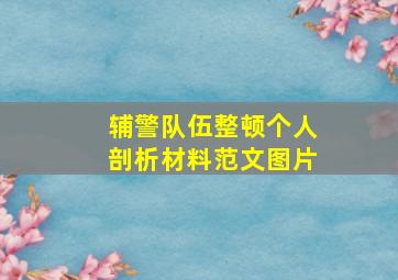 辅警队伍整顿个人剖析材料范文图片