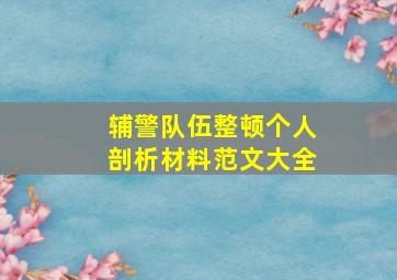 辅警队伍整顿个人剖析材料范文大全