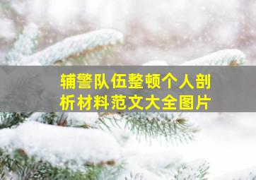 辅警队伍整顿个人剖析材料范文大全图片